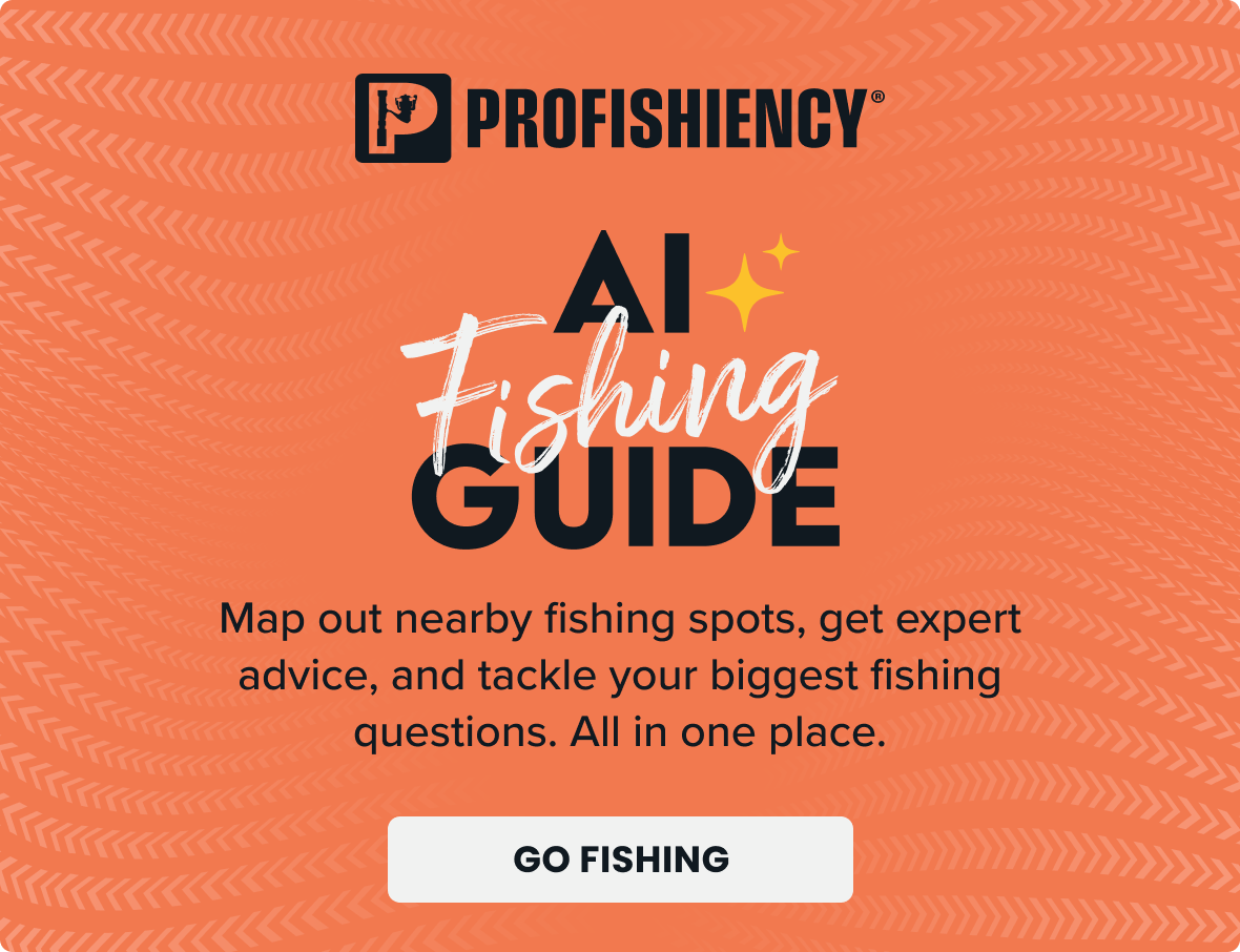 Profishiency