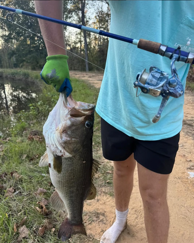 Person holding a large bass by its jaw with a green glove and spinning rod; shirt pocket text 'LOCAL ROW'.