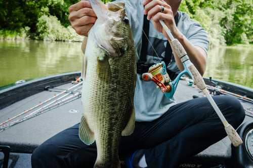 Angler seated in a boat holding a large largemouth bass by its mouth, fishing rod and reel visible, tree-lined lake behind.