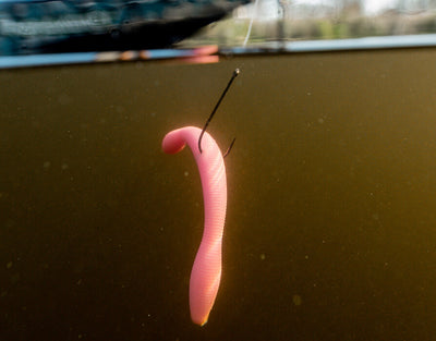 Pink soft-plastic fishing worm hooked and suspended underwater beneath a boat