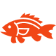 Bass icon