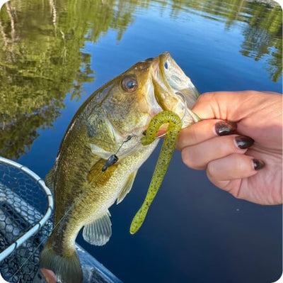 Largemouth bass held by a hand, hooked with a green soft-plastic worm lure; lake water and a fishing net visible.