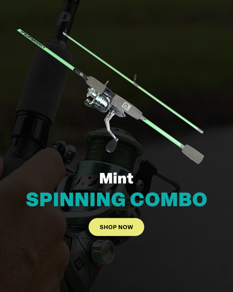 Slider Mint Spinning Combo